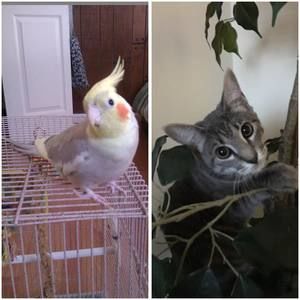 Meet your Posher, Ita